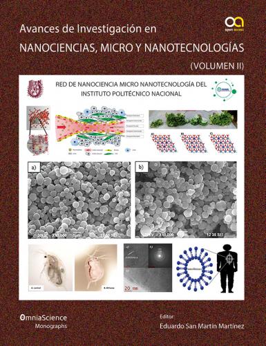 Cubierta para Avances de investigación en Nanociencias, Micro y Nanotecnologías (Vol. II)